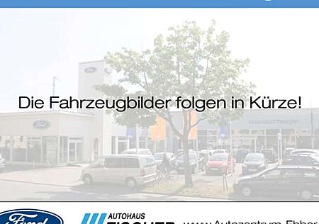 Ford Ranger 2.0 EcoBlue 151kW DoKa e-4WD Wildtrak At 4 Türen