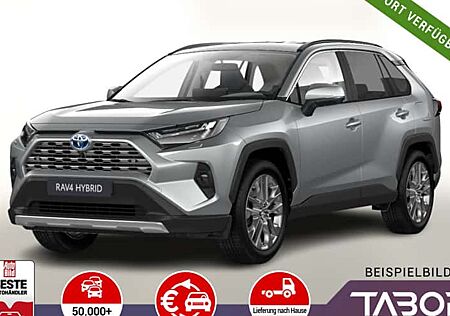 Toyota RAV 4 2.5 Hybrid Lounge Auto 5 Türen