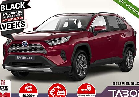 Toyota RAV 4 2.5 Hybrid Auto 5 Türen