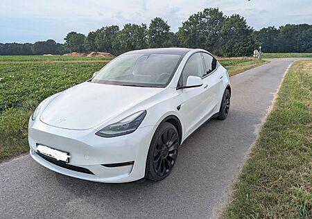 Tesla Model Y Performance Dual Motor AWD Performance