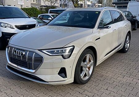 Audi e-tron 55 quattro advanced ACC Pano 360° Beng &