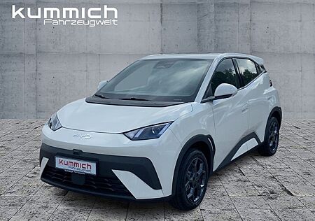 BYD DOLPHIN SURF Boost