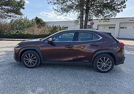 Lexus UX 250 h E-Four