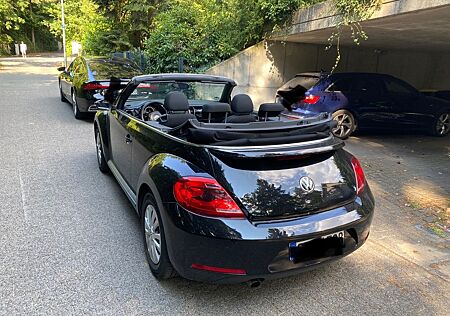 VW New Beetle Volkswagen