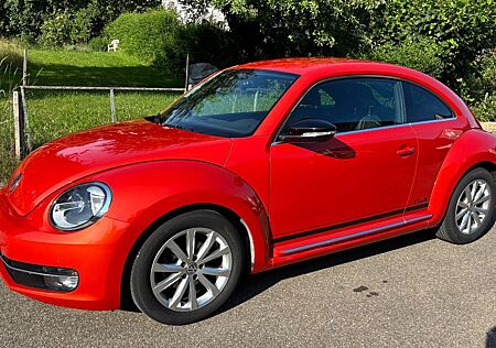 VW New Beetle Volkswagen Rarität 63.400 km top Zust. + Ausstg