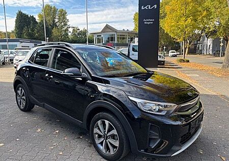Kia Stonic gebraucht kaufen Kia Stonic 1.2 Vision