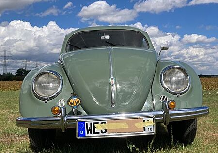 VW Käfer Volkswagen Brezel-