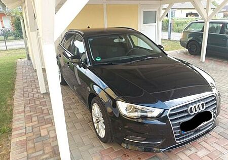 Audi A3 1.6 TDI S tronic Ambition Ambition