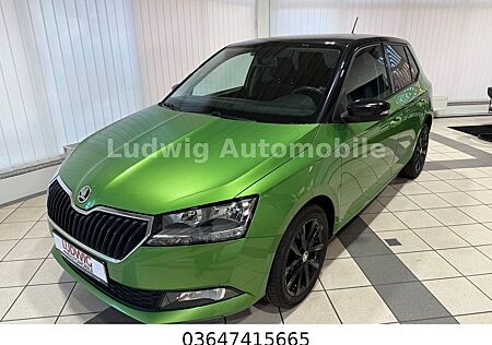 Skoda Fabia /DAB/Klima/Sitzheizung