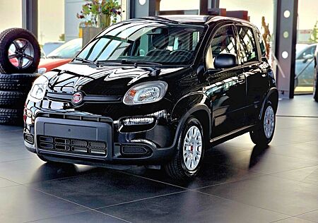 Fiat Panda Hybrid 1.0 GSE 51kw MY24 sofort Verfügbar!