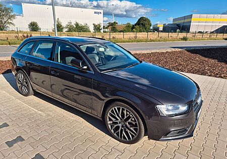 Audi A4 3.0 TDI Avant dunkelgraumet SHZ