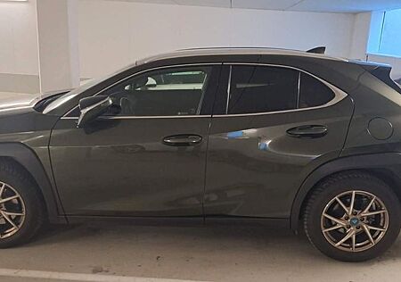 Lexus UX 250h Executive Line Executive Line