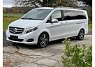 Mercedes-Benz V 250 (BlueTEC) AVANTGARDE EDITION extral. AVA..