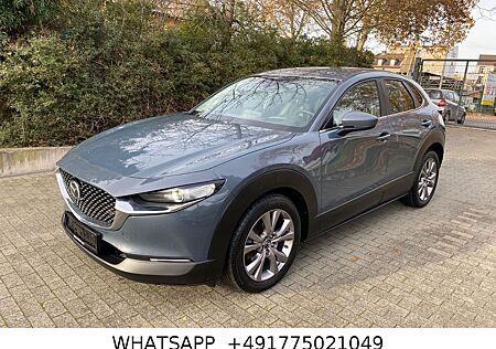 Mazda CX-30 Selection_LEDER_NAVI_360°KAMERA_ACC_HEAD-UP_BOSE