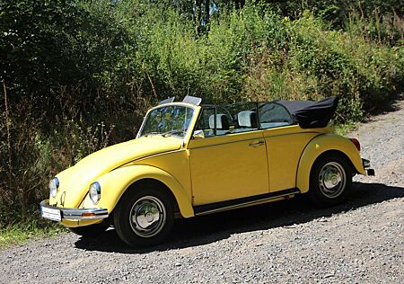 VW Käfer Volkswagen