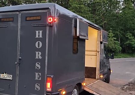 Renault Master Pferdetransport