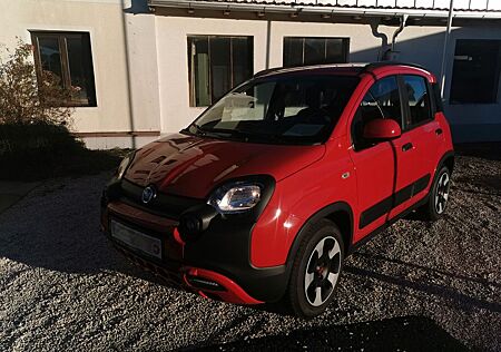 Fiat Panda Red