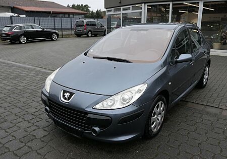 Peugeot 307 Grand Filou Cool