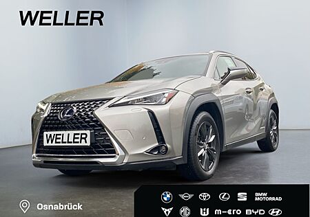Lexus UX 250h Amazing Edition *Bi-LED*ACC*CAM*CarPlay*