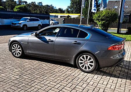 Jaguar XE 20t 200PS Pure Automatik Pure