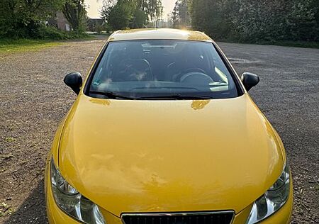 Seat Ibiza 1.4, scheckheftgepflegt, Guter zustand