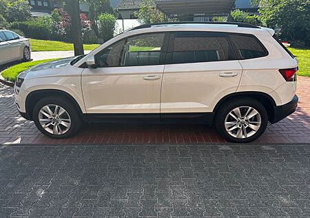 Skoda Karoq Ambition 4x4 RKamera PDC AHK