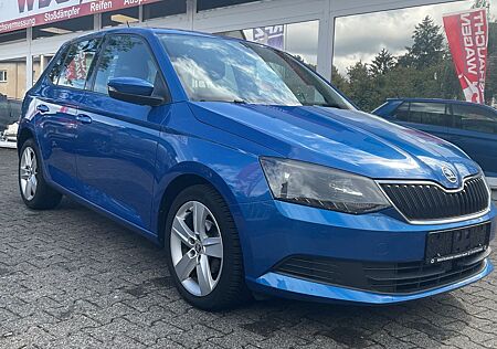Skoda Fabia Ambition 1.Hand Inspektion Neu