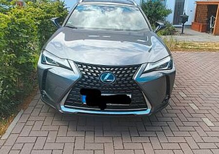 Lexus UX 250 h Executive Line