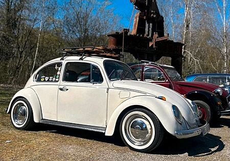 VW Käfer Volkswagen