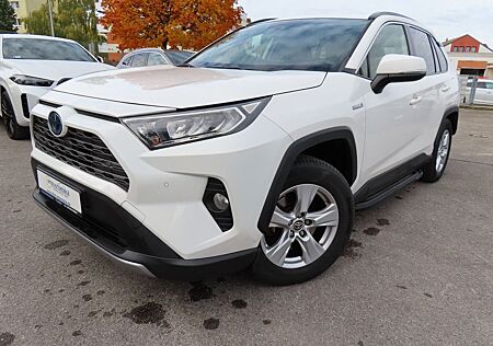 Toyota RAV 4 RAV4 Hybrid 4x2 Business, Navi,Kamera