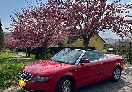 Audi Cabriolet A4 Cabrio