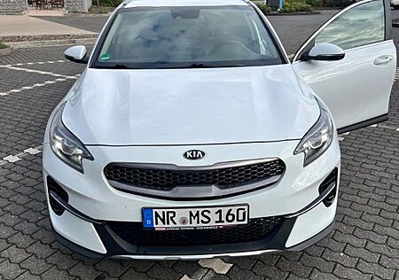 Kia XCeed 1.6 CRDi 48V DCT Spirit Spirit