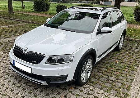 Skoda Octavia gebraucht kaufen Skoda Octavia 2.0 TDI Green tec DSG 4x4 Scout Comb...