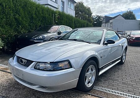 Ford Mustang gebraucht kaufen Ford Mustang Cabrio