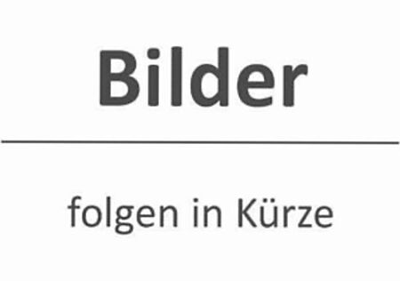 VW New Beetle gebraucht kaufen VW New Beetle Volkswagen Lim. 2.0