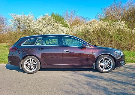 Opel Insignia , TÜV+Öl neu, AHK, Vollausst, Pano