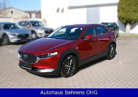 Mazda CX-30 EZ2022 | 56tkm | Garantie | 8-fach bereift