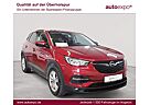 Opel Grandland X 1.2 Business Edition LED KAM