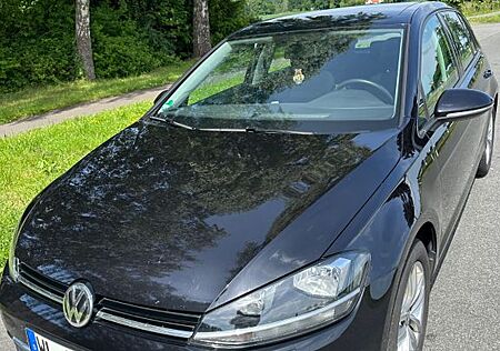 VW Golf Volkswagen 1.0 TSI Comfortline mit Panoramadach