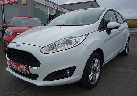 Ford Fiesta Celebration 5-Türig Winterpaket