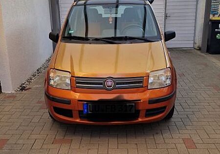 Fiat Panda nur Export und Gewerbe
