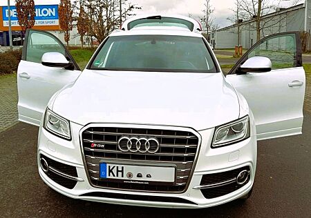 Audi SQ5 3.0 (8R) TDI DPF tiptronic quattro vorb. Kup