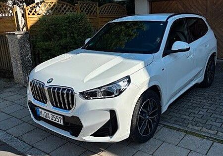BMW X1 xDrive20d Steptronic - M-Paket, AHK,