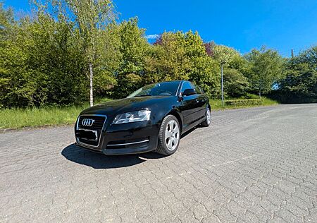 Audi A3 1.6 TDI fast alles neu !!!!