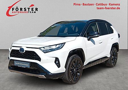 Toyota RAV 4 2.5 4x4 Hybrid Style Selection *LED*PDC