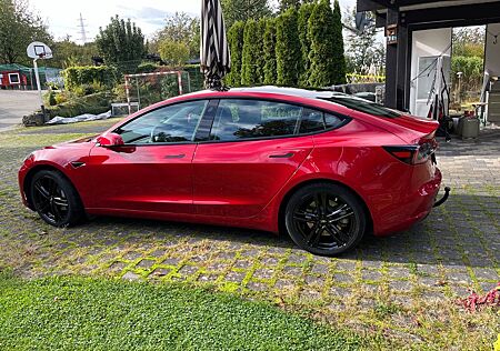 Tesla Model 3 Standard-Reichweite Plus - Hinterrad...