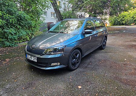 Skoda Fabia Joy MwSt Navi SHZ DAB Allwetter