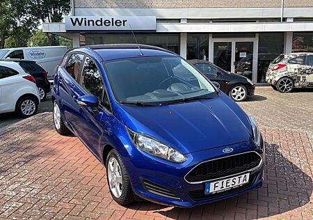 Ford Fiesta Trend Winterpaket