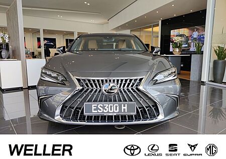 Lexus IS 300 ES 300 h Luxury Line *Neues Modell 2023*Matrix-L