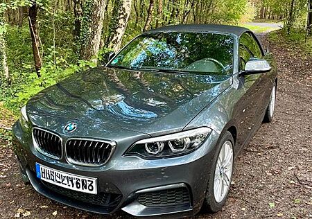 BMW 218i Cabrio M Sportpaket Leder Navi Kamera